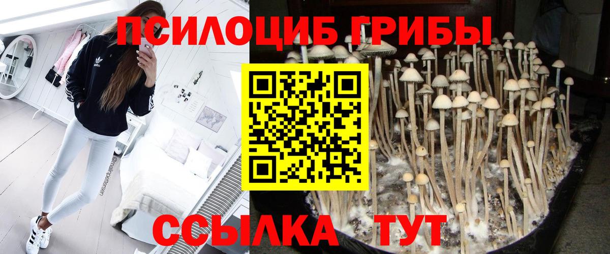 Лесосибирск  Галлюциногенные грибы мухоморы  Вход с VPN 