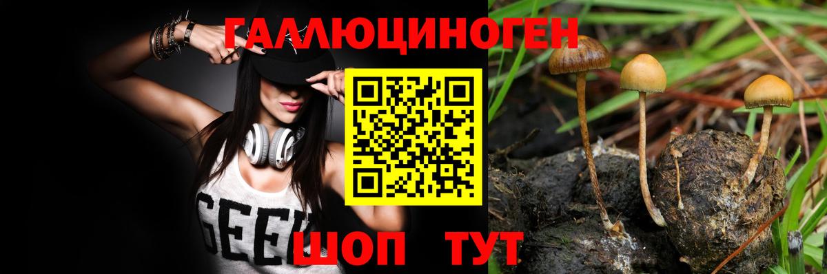Галлюциногенные грибы Cubensis Лесосибирск